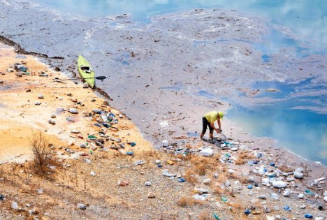 The Environmental Benefits of Green Waste Disposal in Melbourne